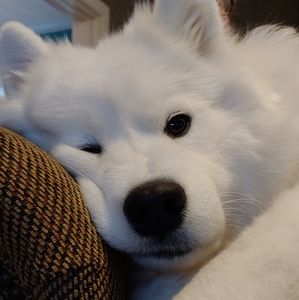 Awww Let's Bundle -- 💕Love Malibu